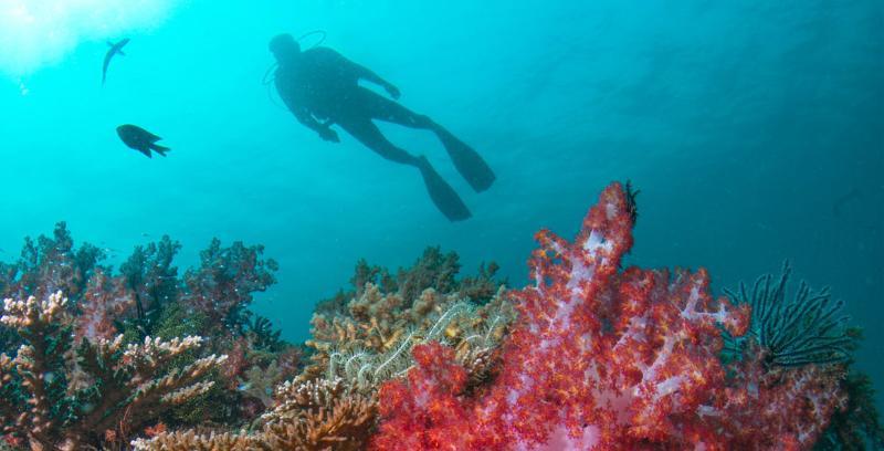 Tanjong Jara Resort, Terengganu - A Small Luxury Hotels Of The World Dungun Exterior foto Scuba diving in the Red Sea